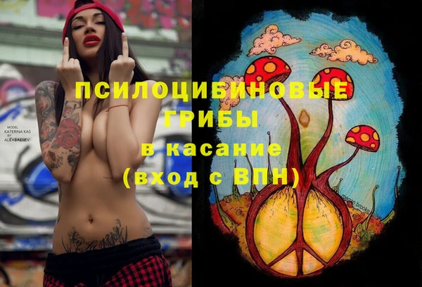 бошки Волосово