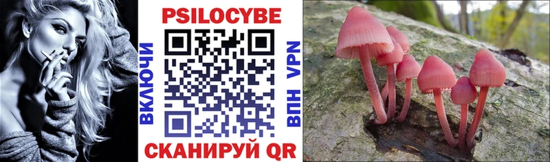 Псилоцибиновые грибы MAGIC MUSHROOMS  закладка  Партизанск 
